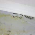 black mold on the wall. Fungus on the wall after the flooding of the house.