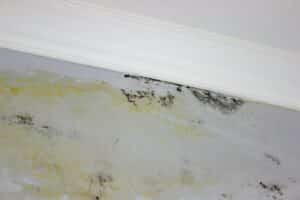 black mold on the wall. Fungus on the wall after the flooding of the house.