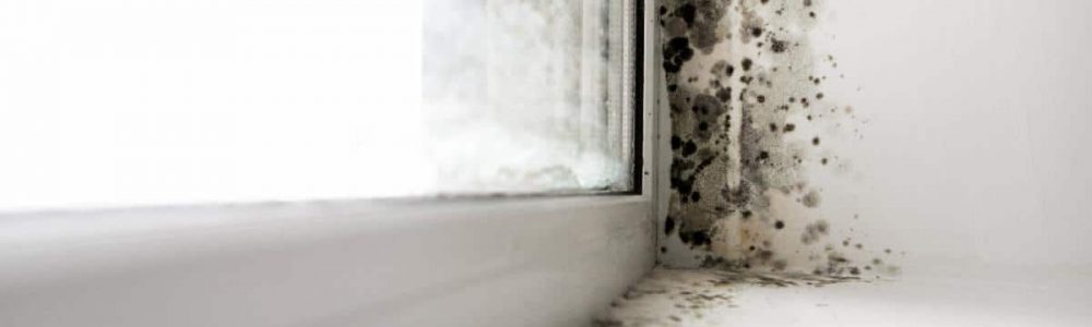Mold